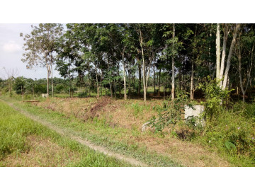 DIJUAL TANAH JL. MATOA, PEKANBARU