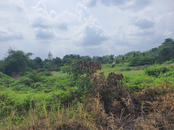 DIJUAL TANAH LUAS DI JL TUAH BERSAMA - PEKANBARU