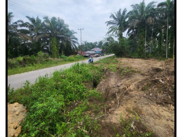 Dijual sebidang tanah tepi jalan lokasi Rumbai dekat simpang bingung