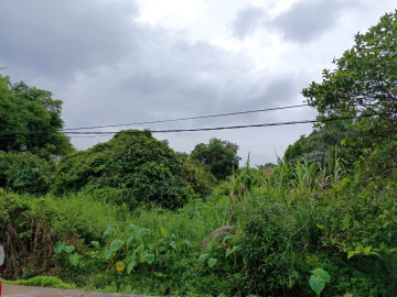 DIJUAL SEBIDANG TANAH LOKASI DEKAT JL. SUDIRMAN-PEKANBARU