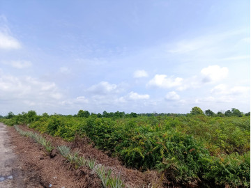 DIJUAL SEBIDANG TANAH LOKASI RIMBO PANJANG BISA TEMBUS UKA-PEKANBARU
