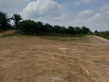 Dijual Tanah Keras Siap Bangun Ukuran 2,5 Haktare Jl Suka Maju, Muara Fajar- Rumbai