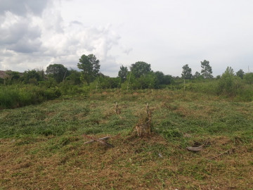 Dijual tanah di Rimbo Panjang - Kampar