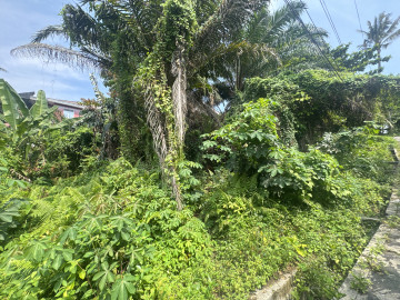 DIJUAL TANAH JL RONGGO WARSiTO iI