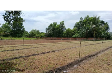 Dijual Tanah luas 599m2 di Jl. Teropong