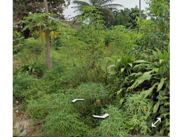 Dijual tanah kosong siap bangun lokasi hangtuah ujung