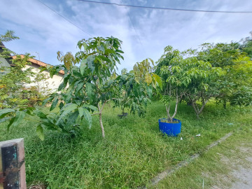 DIJUAL TANAH BONUS BANGUNAN LOKASI DALAM KOTA DEKAT JL.RIAU-PEKANBARU