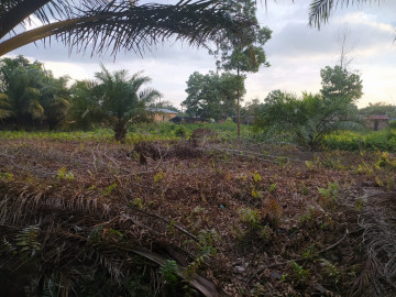 Dijual tanah murah di Jl. Ikhlas Ujung - Pekanbaru