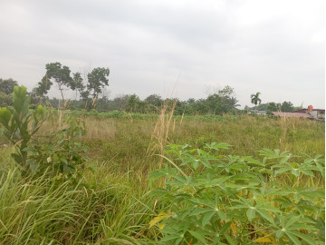 Dijual Tanah Kaplingan Keras, Jl Padat Karya-Kulim