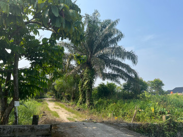 Dijual Tanah Keras 4290 M2 Dekat Simpang Tiga- Bukit Raya