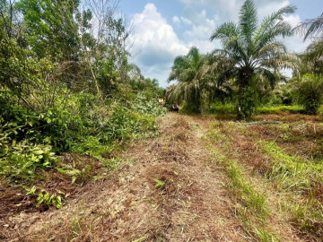 DIJUAL SEBIDANG TANAH LOKASI DEKAT DANAU BUATAN RUMBAI-PEKANBARU