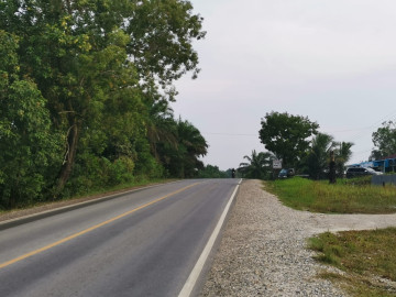 Dijual sebidang tanah / sawit lokasi Lintas Pekanbaru - Minas