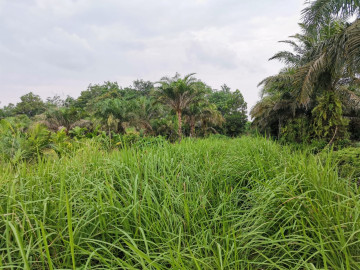 Dijual sebidang tanah lokasi Jl. Matoa - Tenayan Raya