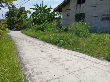 Dijual Tanah dan Rumah lokasi Hangtuah