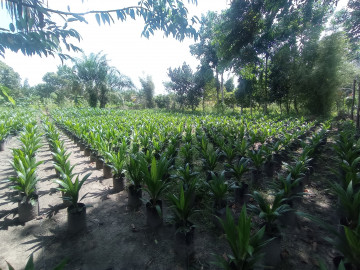 Dijual Tanah Kavling, lokasi JL.Garuda Sakti, Pekanbaru