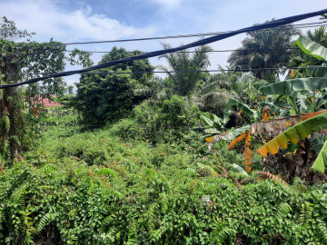 Dijual Tanah Di Jl. Pesisir Samping Jembatan Siak III