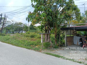 DIJUAL TANAH KOSONG JL UNGGAS UJUNG