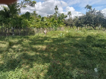 Dijual Tanah Keras Luas 16.000 M2 Jl By Pass- Kota Padang