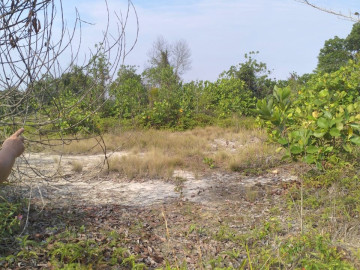 DIJUAL SEBIDANG TANAH LUAS LOKASI DEKAT PANGKALAN KERINCI/PALALAWAN