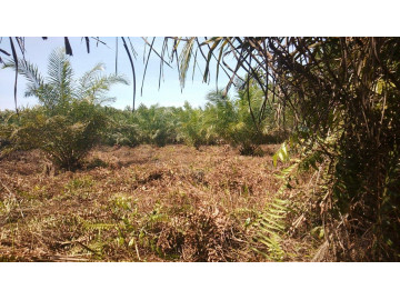 Dijual tanah kapling tengah kota di Jl. Tuanku Tambusai - Pekanbaru
