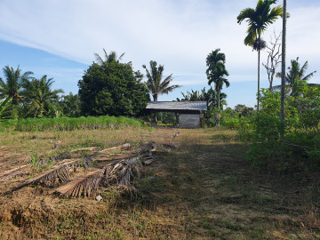 Dijual Tanah Keras Jl.Pastoran Palas Cocok untuk Tempat Tinggal Dan Sudah Masuk Meteran PLN