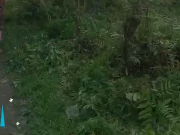 DI JUAL SEBIDANG TANAH Lokasi Tuah Karya Panam
