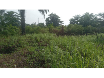 DIJUAL TANAH LOKASI DI JL.BERINGIN,AIR HITAM