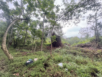 DIJUAL TANAH SIAP BANGUN JL PEMUDA