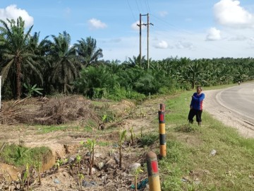 DIJUAL TANAH DI TEPI JALAN LINTAS DUMAI - DURI, 10 MENIT DARI PINTU TOL DUMAI-DURI