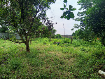Dijual Tanah Luas  3.000 m2  Jl.Nangka - Jl. SM. Amin