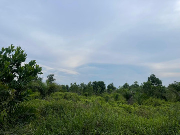 Di Jual Sebidang Tanah lokasi Jalan Riau Ujung dekat bundaran tengah kota Pekanbaru