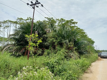 Dijual sebidang tanah di Jl. Putri Ayu / Rumbai