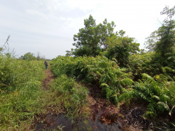 Dijual Tanah, lokasi JL.Riau Baru / Air Hitam - Pekanbaru