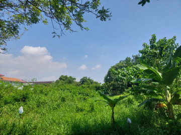 DIJUAL TANAH SIAP BANGUN  JL SUDIRMAN  BLKG MTQ
