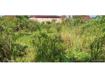 Dijual tanah jalan Purwodadi Panam