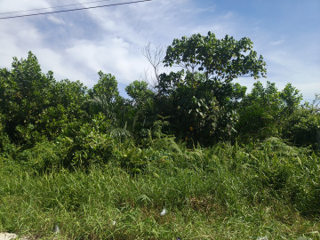 Dijual Sebidang Tanah Lokasi Jalan Rajawali Sakti Dekat Rs Prima