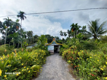 DI JUAL TANAH JL SIAK 2 / PALAS PEKANBARU