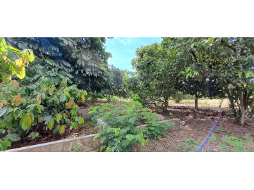 Dijual tanah lokasi Harapan raya tengah kota Pekanbaru