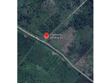 DIJUAL KEBUN SAWIT  JL GARUDA SAKTI