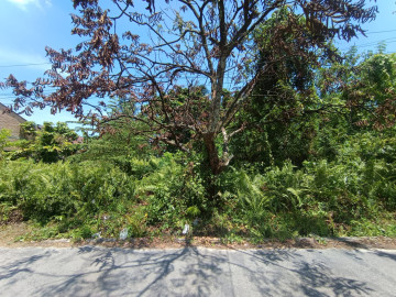 DI JUAL SEBIDANG TANAH JL KAPAU SARI