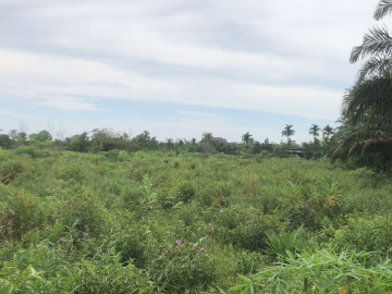 DIJUAL SEBIDANG TANAH LOKASI JL.SIAK 2-PEKANBARU