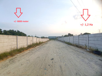DISEWAKAN TANAH KERAS DAN SUDAH PAGAR KELILING TEPI JALAN LOKASI JL. BERINGIN - PEKANBARU