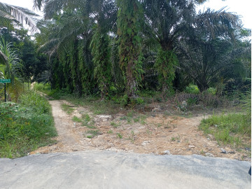 DIJUAL TANAH KOSONG DI TENAYAN RAYA - PEKANBARU