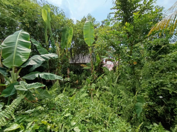 DI JUAL TANAH  JL HANG LEKIR / HANGTUAH