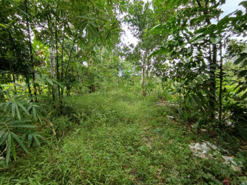 DI JUAL TANAH  JL  SEGAR /  HANGTUAH