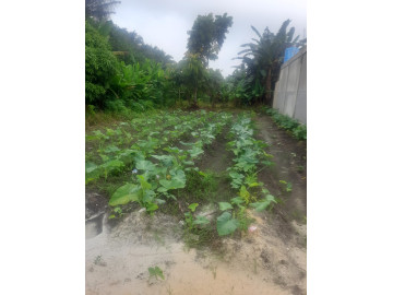 Dijual sebidang tanah di jl.rawa bening sidomulyo barat-pekanbaru