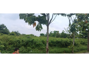Dijual sebidang tanah lokasi Jl. tengku Bey Ujung Pekanbaru