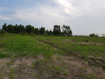 Dijual tanah di Kualu nenas / Kampar